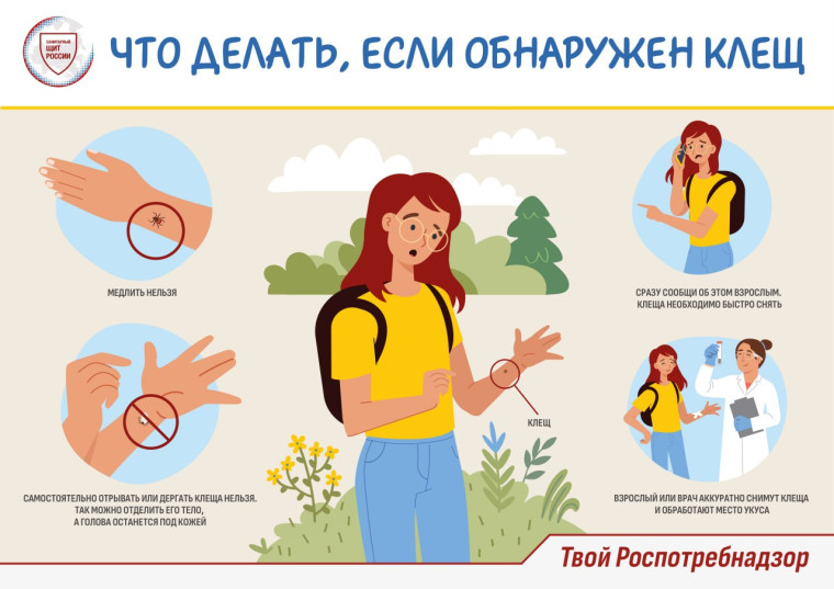 Что делать, если обнаружен клещ..